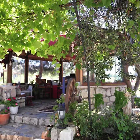 מלון Aral Tatil Ciftligi בוזקאדה