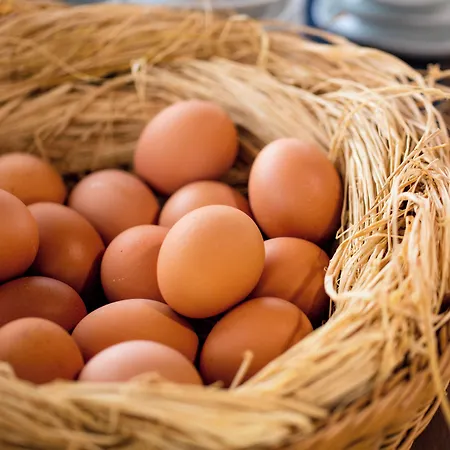 Hotel Aral Tatil Ciftligi Bozcaada