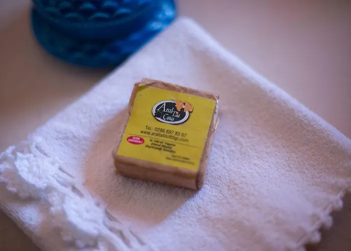 Aral Tatil Ciftligi Hotel 4*