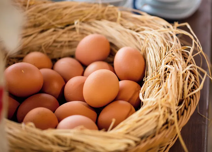 Hotel Aral Tatil Ciftligi Bozcaada